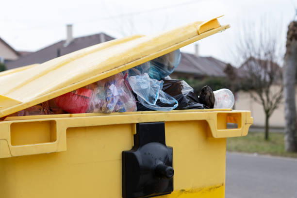 Professional Junk Removal in Robersonville, NC